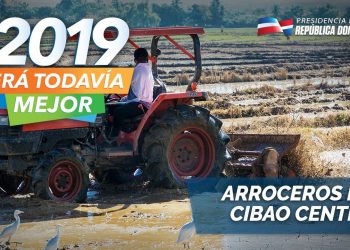 Arroceros del Cibao Central