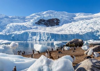El hielo de la Antártida se derrite más rápido que nunca, según estudio