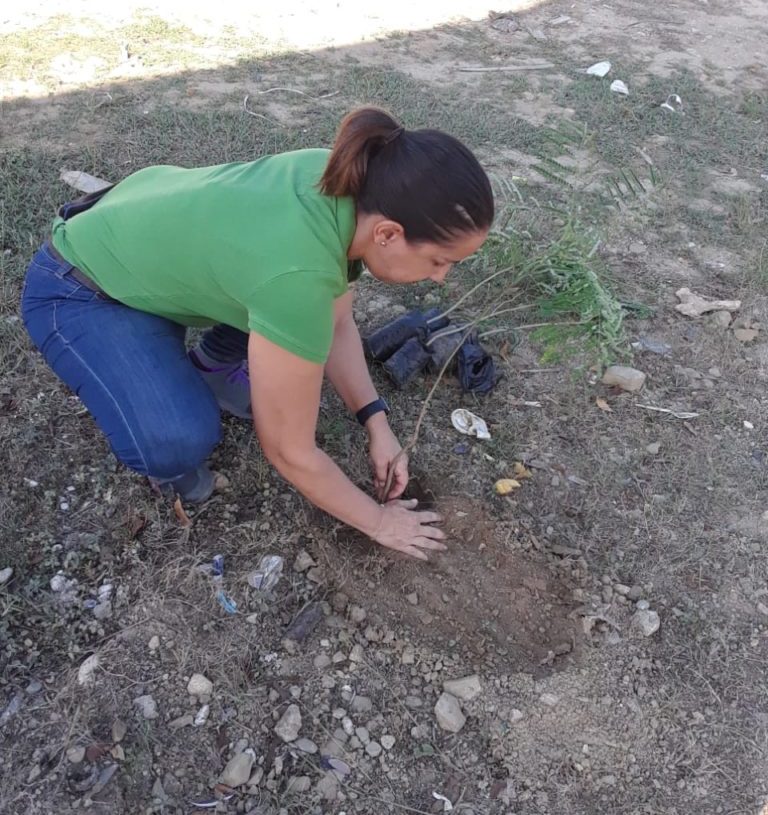 Forestación-Embellecimiento entrada de Montecristi