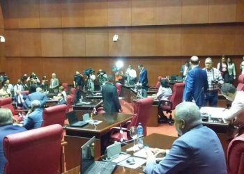 Senado conoce proyecto de Ley Régimen Electoral, con la ausencia de Reinaldo y otros 7 legisladores
