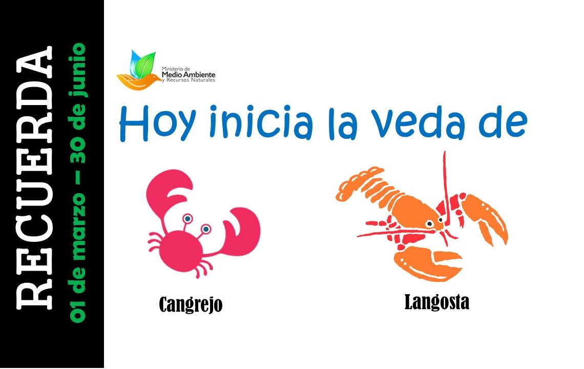 Medio Ambiente anuncia inicio de veda del Cangrejo y Langosta