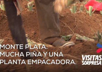 Danilo Medina entrega moderna empacadora a jóvenes productores piña de Monte Plata: “Es la encarnación de mis ideas en la campaña electoral”
