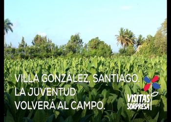 Santiago: Visita Sorpresa de Danilo Medina aumentará ingresos tabacaleros de Villa González y cafetaleros de San José de las Matas