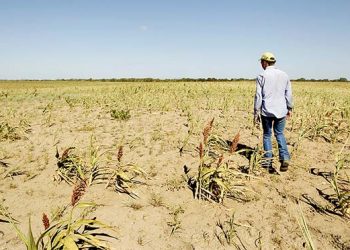 En 20 años el país ha tenido 6 ciclos de sequías severas