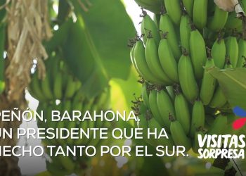 Visita Sorpresa de Danilo Medina reactivará producción agrícola en El Peñón y Pescadería; aumentará ingresos de más de 3 mil familias