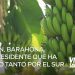 Visita Sorpresa de Danilo Medina reactivará producción agrícola en El Peñón y Pescadería; aumentará ingresos de más de 3 mil familias