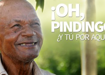¡Oh, Pindingo!, ¿y tú por aquí? (VIDEO»)