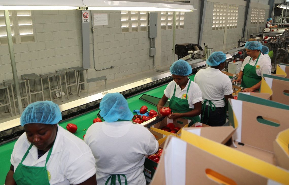 CEI-RD felicita a los cerca de 5,300 agentes exportadores dominicanos en su día