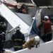 Cae avioneta sobre casa en Carolina del Norte, matando al piloto y una persona dentro de la vivienda