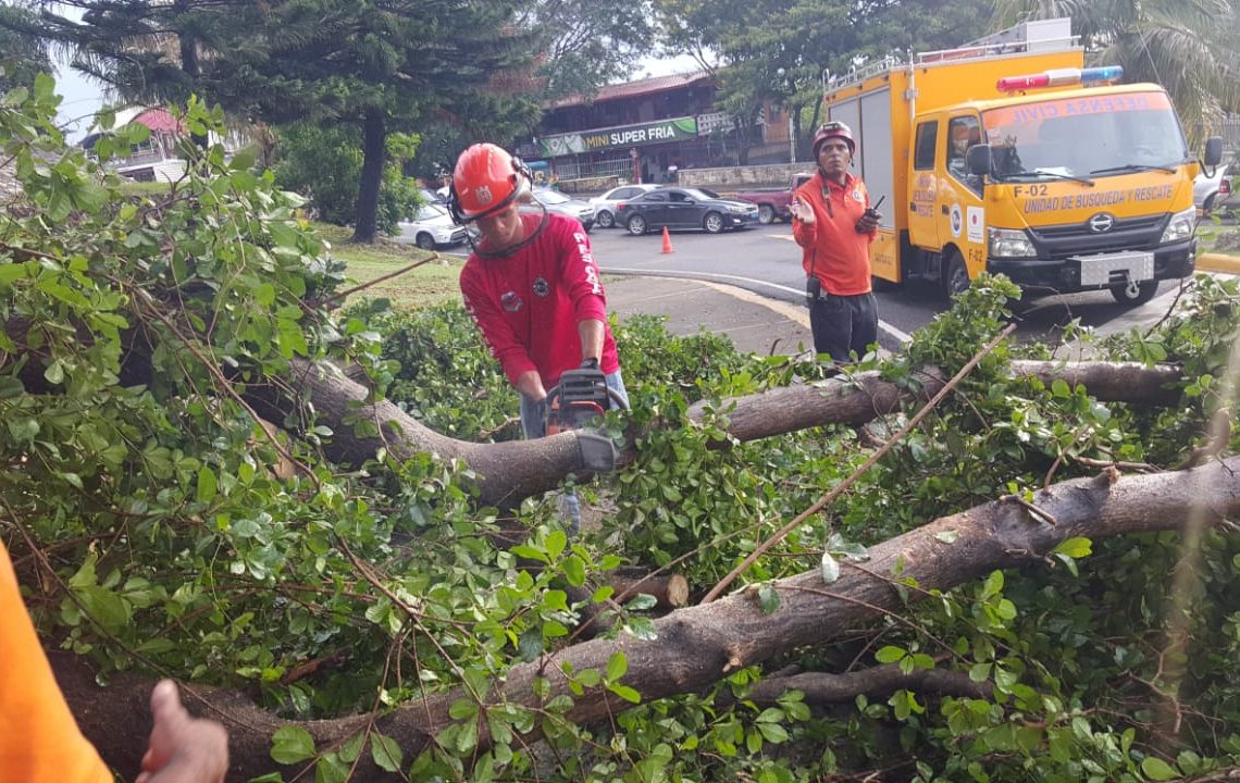 Lluvias inundan 370 casas y derriban árboles en Santiago