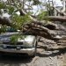 Turbonada derriba árboles, daña autos en Santiago y otras localidades del Cibao