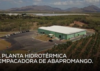 VIDEO: Resultado de Visita Sorpresa a Baní, Danilo Medina entrega moderna planta de empaque y tratamiento hidrotérmico a productores de mango