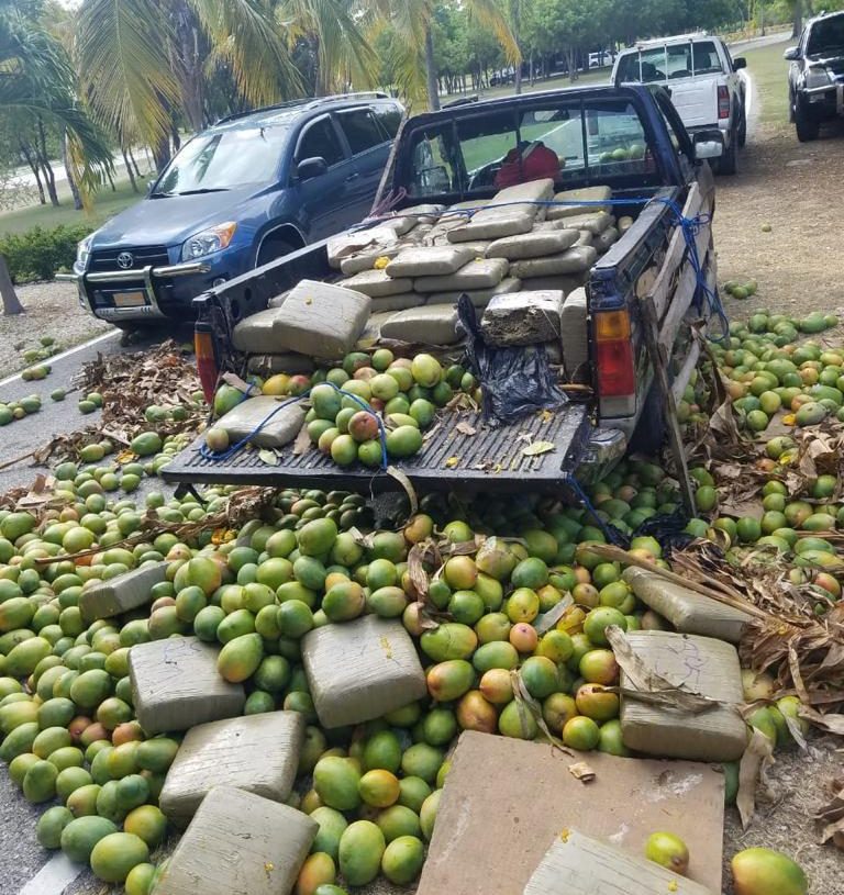 Ejército Dominicano da duro golpe al tráfico de Marihuana