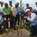 Gobierno capacita productores y técnicos de Constanza en injerto para cultivo de peras japonesas