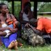 El “cártel haitiano” domina tráfico ilegal de inmigrantes