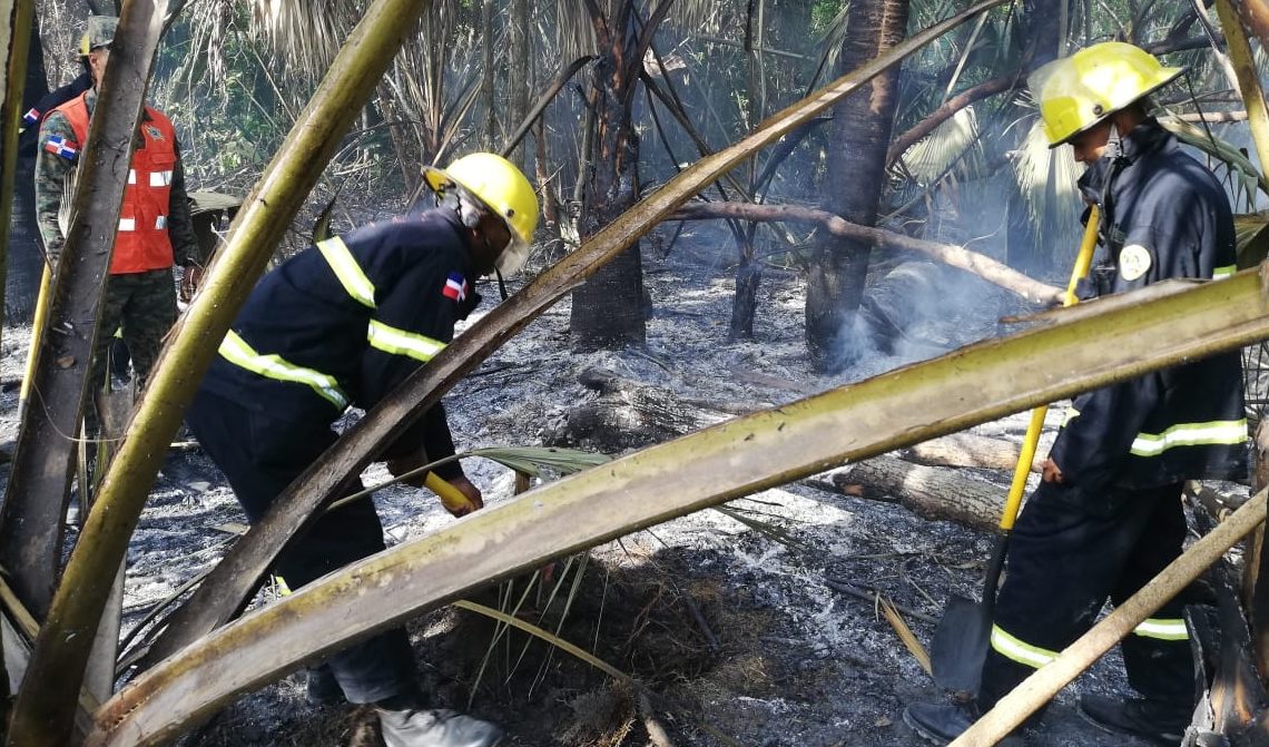 El Ejército envía apoyo a los bomberos combaten incendio forestal en Bávaro