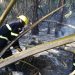 El Ejército envía apoyo a los bomberos combaten incendio forestal en Bávaro