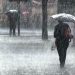 Las Tormentas: Cuales pasos se deben dar durante su paso