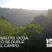 San José de Ocoa: Visita Sorpresa integra a caficultores a reforestación. Ministro Agricultura de Honduras acompaña a Danilo Medina