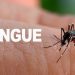 Primer caso de dengue por transmisión sexual
