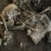 México recuperó 1.124 cadáveres de fosas clandestinas en los últimos 13 meses