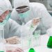 Medicamento en fase de prueba podría detener la pandemia «sin vacuna»