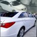 Desaprensivos robaron un carro HYUNDAY , propietarios darán recompensa