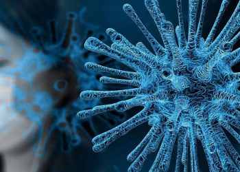 Detectan seis tipos de coronavirus, conozca sus síntomas