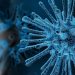 Detectan seis tipos de coronavirus, conozca sus síntomas