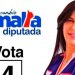 Mujer acusada de lavado de activos resultó electa diputada en La Vega