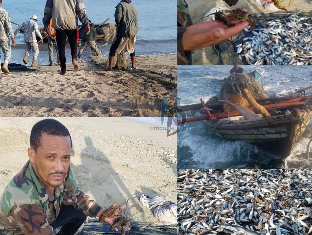 Haitianos acaban con pesca en Montecristi