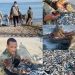 Haitianos acaban con pesca en Montecristi