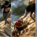 VIDEO – Joven patea anciano, cae a cañada y queda captado en video