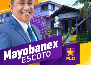 Perfil del candidato