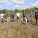 ISM Junto a EcoRed y Jardín Botánico realizan Jornada de Reforestación de Robillo
