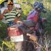 Motocicleta de hombre asesinado en Montecristi fue encontrada en uno matorrales
