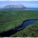 Denuncian construcción de canal en medio de manglares área protegida del Parque Nacional en Montecristi0