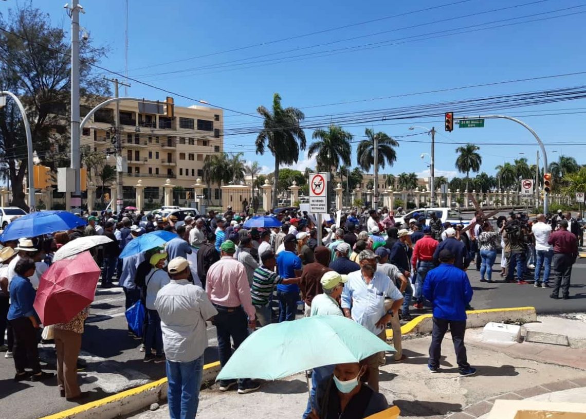 Videos: Agropecuarios marchan a Palacio para exigir a Abinader les cumpla