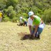 INDUSTRIAS SAN MIGUEL REALIZA JORNADA DE REFORESTACION EN SANTIAGO RODRIGUEZ