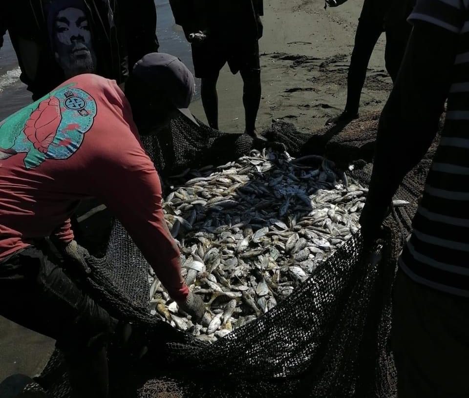 En Montecristi pescadores se oponen a que haitianos realicen esas labores debido que están depredando la fauna costeros marino de la zona
