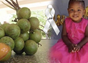 Muere asfixiada con semilla de limoncillo niña de cuatro años en Yamasá