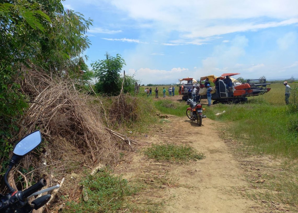 Accidente; Padre mata a su hijo tras caerse de una cortadora de arroz en comunidad de Montecristi