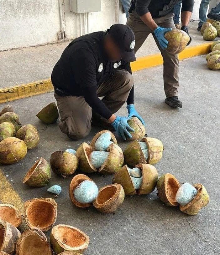 Policía mexicana encuentra 660 libras de fentanilo en cocos