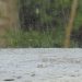 COE mantiene en alerta verde a seis provincias por vaguada