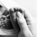 34 bebés recién nacidos murieron en la Maternidad de Los Mina a causa de «una infección»