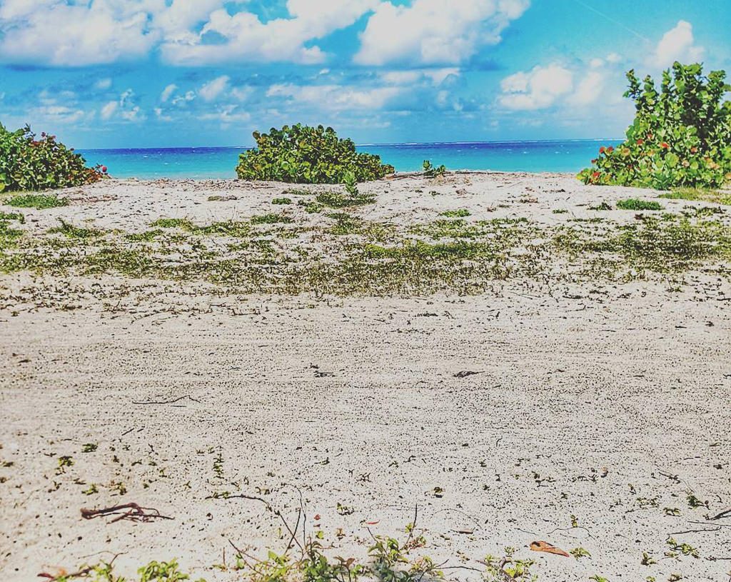 Muere hombre cuando disfrutaba de un baño en la playa Popa en Montecristi