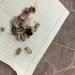 CASQUILLOS RECOLECTADOS EN ESCENA CRIMEN DE UN JOVEN ESTA TARDE EN MONTECRISTI