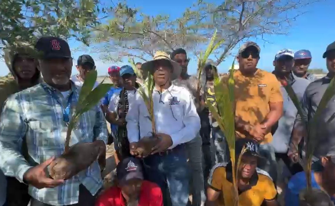 Medio Ambiente sembrará 20 millones de árboles en el país, Montecristi ya inició la jornada de reforestación