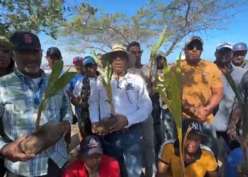 Medio Ambiente sembrará 20 millones de árboles en el país, Montecristi ya inició la jornada de reforestación