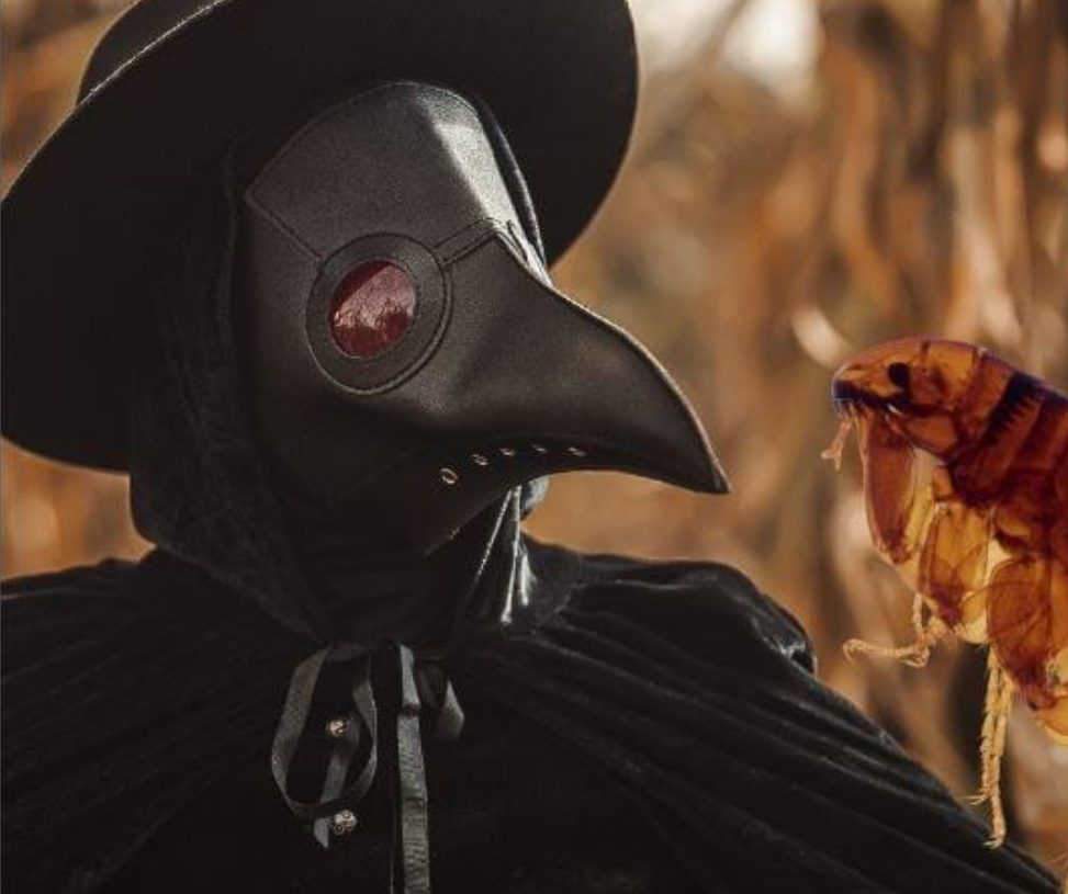 Confirman un tercer caso de peste bubónica en humanos en EE.UU.